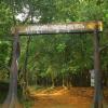 Entrance of Idukki forest