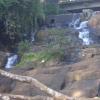 Water Falls in Alappuzha
