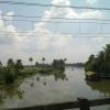 View from Bridge, Boat Jetty, Alleppey