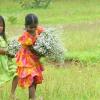 Girls with Handfull of Flowers in Alappuzha, Kerala