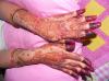Picture of Mehandi