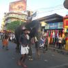 Elephant on road - Andathode