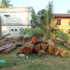 Wood for sale in Trivandrum