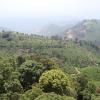 Munnar hills that shows beautiful green shades of tea estates