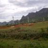 Nagercoil windmills
