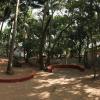 Yoga camp of Himalayan Iyengar Yoga centre in Arambol, Goa
