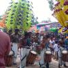 Colourful Chenda Melam At a Temple Festival