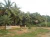 Scenic view of Panchakarma ashram,bangalore