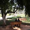 Families and Couples Enjoy Parks in Bangalore