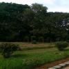 Inside Lal Bagh Garden in Bangalore