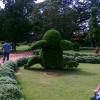 Topiary garden in Lalbagh Bangalore