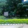 Way to National Horticulture Library inside Lal Bagh Bangalore
