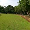 Beautiful view of Green Lawn in Lal Bagh