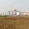 Sugar mill in Baramati