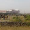 Sugar Mill campus and residential quarters in Baramati