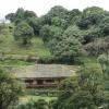 House in the middle of Green Valley, Coorg