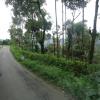 Road to Thalakauveri, Karnataka