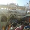 People in Queue for dharshan  in Karni Matha Temple