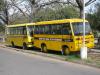 School Buses in Chandigarh