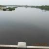 Adyar River near Kotturpuram railway Station
