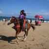 View of Horse riding at Mahabalipuram beach in Chennai