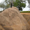 A view of rock at Five rathas area in Mahabalipuram