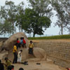 A view of Nandhi statue at Mamallapuram