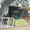 A coconut drink relax center at Mamallapuram