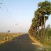 Pannamgadu Village Road