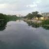 Cooum River at Chintadripet