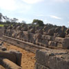 A view of too many Nandi sculptures at  Mamallapuram