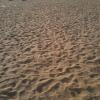 Sand Wonder, Marina Beach