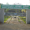Mamallapuram Maragatha Poonga
