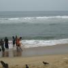 Crows and Humans at the Besant Nagar Beach