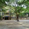 Government School, West Mambalam Chennai