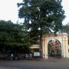 DPI, College Road, Chennai