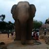 Elephant Statue in Historical Mamallapuram