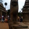 Lion Statue at Historical Mamallapuram