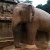 Close view of Elephant statue in Mamallapuram