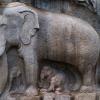 Elephant Sculpture in Historical Mamallapuram