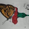 Butterfly - painting competition in office at Kodambaakkam