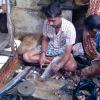 Fish is cleaned by the Fisherman at Saidapet Market