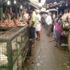 Chicken Market at Saidapet