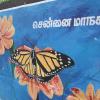 Butterfly Painting Maintained by Chennai Corporation on the Walls, Chennai