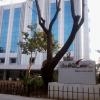President Hotel & Tower, Chennai
