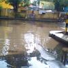 Vadapalani bus stand pool of water