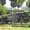 Arignar Anna Zoological Park at Vandalur... Chennai