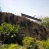 Vandalur Arignar Anna Zoological park... Chennai