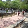 Visitors at Anna Zoological park... Chennai