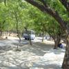 A view of the road inside Vandalur Zoo-Chennai-